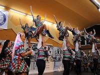 IMG 8640