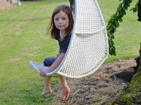 IMG 9917